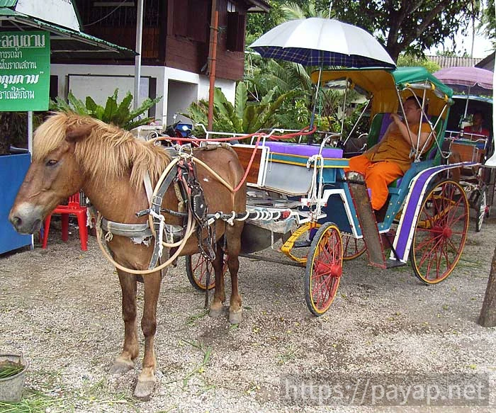 ウィアンクムカム遺跡(เวียงกุมกาม)